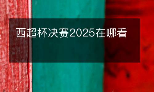 西超杯决赛2025在哪看