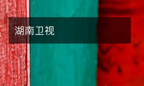 湖南卫视